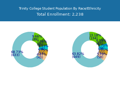 Trinity College 2025 Student Population by Gender and Race chart