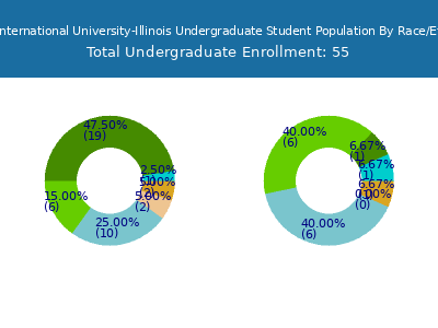 Trinity International University-Illinois 2025 Undergraduate Enrollment by Gender and Race chart