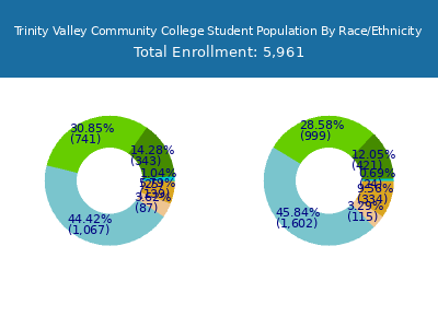 Trinity Valley Community College 2025 Student Population by Gender and Race chart