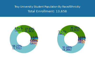 Troy University 2025 Student Population by Gender and Race chart