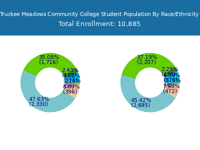 Truckee Meadows Community College 2025 Student Population by Gender and Race chart