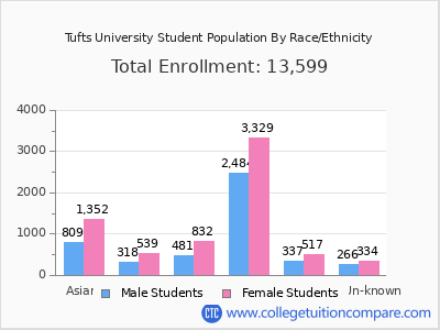 Tufts University 2025 Student Population by Gender and Race chart