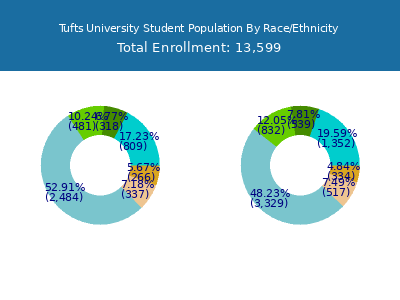 Tufts University 2025 Student Population by Gender and Race chart