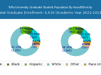 Tufts University 2023 Graduate Enrollment by Gender and Race chart