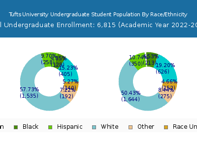 Tufts University 2023 Undergraduate Enrollment by Gender and Race chart