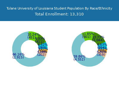 Tulane University of Louisiana 2025 Student Population by Gender and Race chart