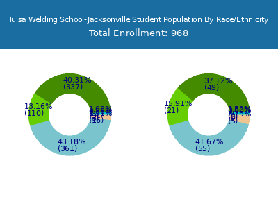 Tulsa Welding School-Jacksonville 2025 Student Population by Gender and Race chart
