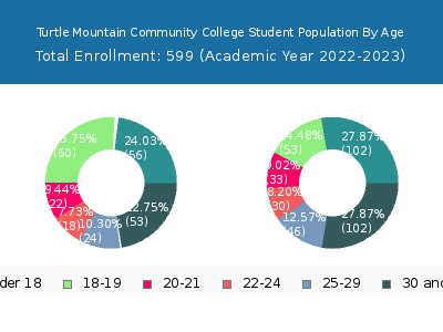 Turtle Mountain Community College 2023 Student Population Age Diversity Pie chart