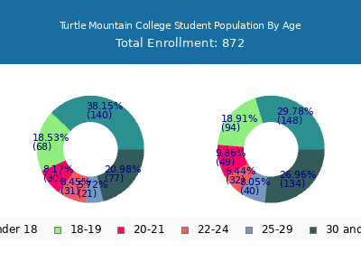 Turtle Mountain College 2025 Student Population Age Diversity Pie chart