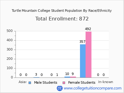 Turtle Mountain College 2025 Student Population by Gender and Race chart