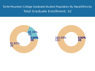 Turtle Mountain College 2025 Graduate Enrollment by Gender and Race chart