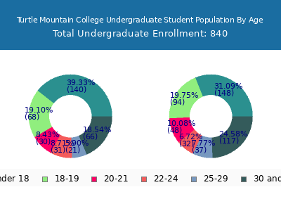 Turtle Mountain College 2025 Undergraduate Enrollment Age Diversity Pie chart