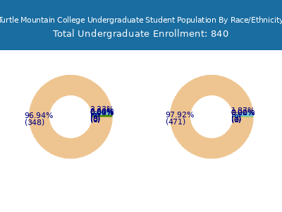 Turtle Mountain College 2025 Undergraduate Enrollment by Gender and Race chart