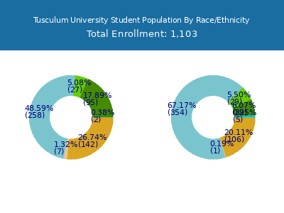 Tusculum University 2025 Student Population by Gender and Race chart