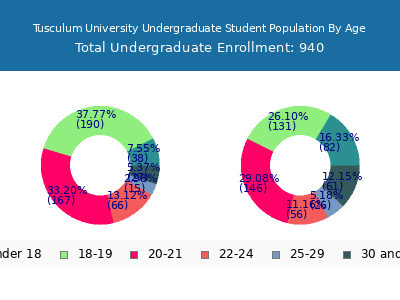 Tusculum University 2024 Undergraduate Enrollment Age Diversity Pie chart