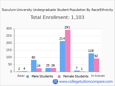 Tusculum University 2025 Undergraduate Enrollment by Gender and Race chart