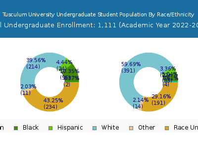 Tusculum University 2023 Undergraduate Enrollment by Gender and Race chart