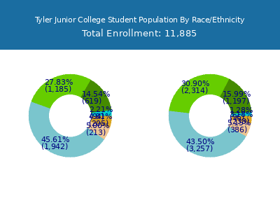 Tyler Junior College 2025 Student Population by Gender and Race chart