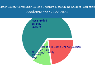 Ulster County Community College 2023 Online Student Population chart