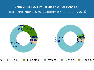 Union College 2023 Student Population by Gender and Race chart