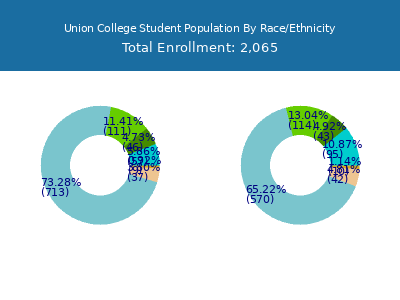 Union College 2025 Student Population by Gender and Race chart