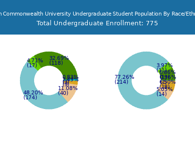 Union Commonwealth University 2025 Undergraduate Enrollment by Gender and Race chart