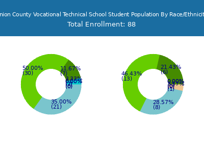 Union County Vocational Technical School 2025 Student Population by Gender and Race chart