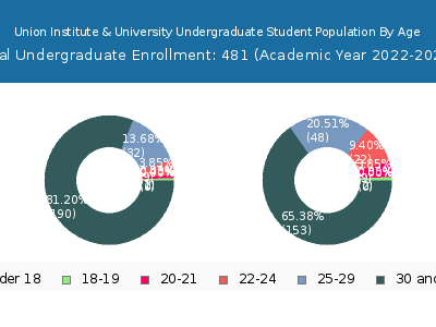 Union Institute & University 2023 Undergraduate Enrollment Age Diversity Pie chart