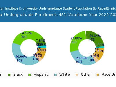 Union Institute & University 2023 Undergraduate Enrollment by Gender and Race chart