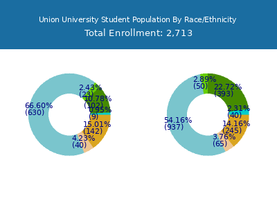 Union University 2025 Student Population by Gender and Race chart