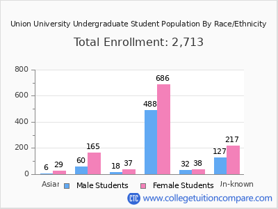 Union University 2025 Undergraduate Enrollment by Gender and Race chart