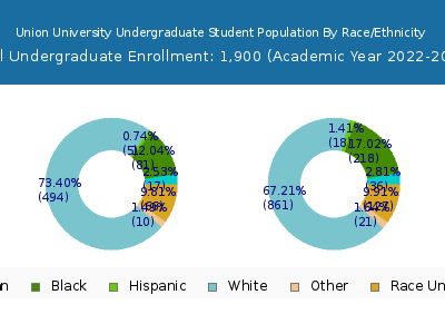 Union University 2023 Undergraduate Enrollment by Gender and Race chart
