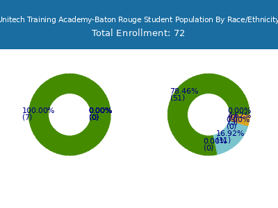 Unitech Training Academy-Baton Rouge 2025 Student Population by Gender and Race chart