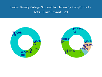 United Beauty College 2025 Student Population by Gender and Race chart