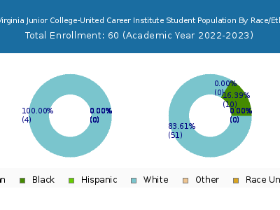 West Virginia Junior College-United Career Institute 2023 Student Population by Gender and Race chart