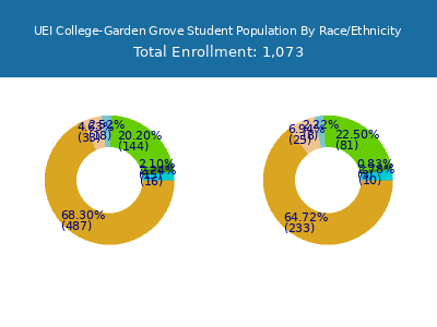UEI College-Garden Grove 2025 Student Population by Gender and Race chart