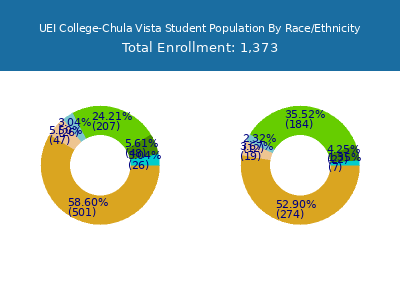 UEI College-Chula Vista 2025 Student Population by Gender and Race chart