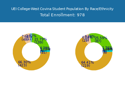 UEI College-West Covina 2025 Student Population by Gender and Race chart