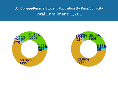 UEI College-Reseda 2025 Student Population by Gender and Race chart