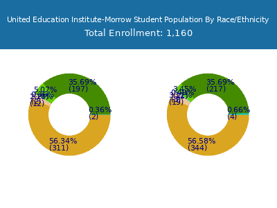 United Education Institute-Morrow 2025 Student Population by Gender and Race chart