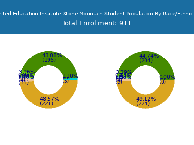 United Education Institute-Stone Mountain 2025 Student Population by Gender and Race chart