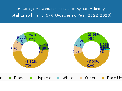 UEI College-Mesa 2023 Student Population by Gender and Race chart