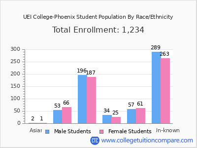 UEI College-Phoenix 2025 Student Population by Gender and Race chart