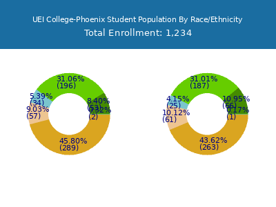 UEI College-Phoenix 2025 Student Population by Gender and Race chart