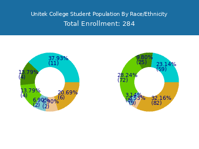 Unitek College 2025 Student Population by Gender and Race chart