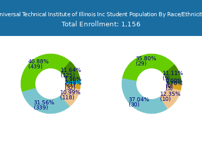 Universal Technical Institute of Illinois Inc 2025 Student Population by Gender and Race chart