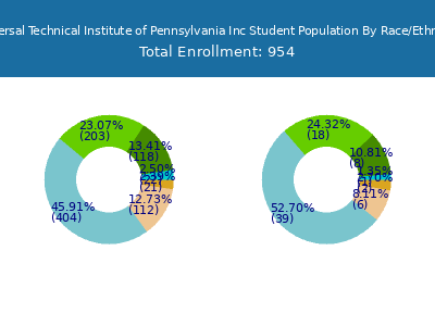 Universal Technical Institute of Pennsylvania Inc 2025 Student Population by Gender and Race chart