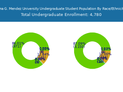 Ana G. Mendez University 2025 Undergraduate Enrollment by Gender and Race chart