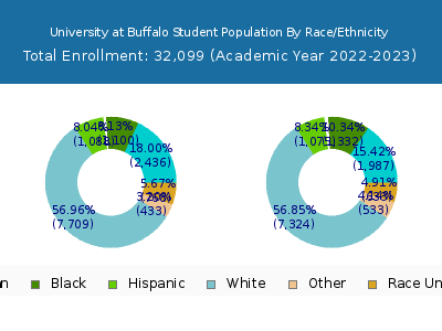 University at Buffalo 2023 Student Population by Gender and Race chart