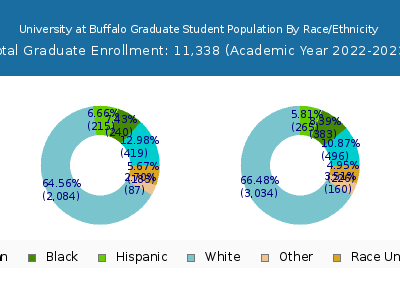 University at Buffalo 2023 Graduate Enrollment by Gender and Race chart